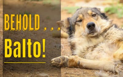 Behold . . . Balto