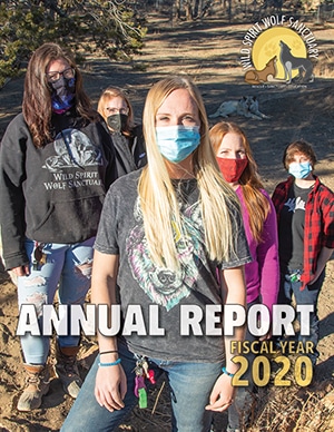 FY2020 Annual Report Cover