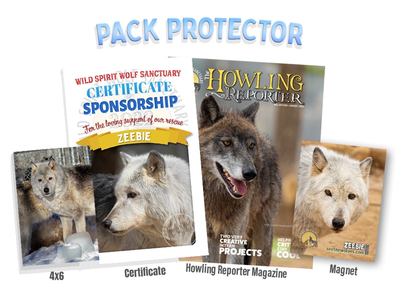 Pack Protector Ecwid Summer Cooler Enrichment Event