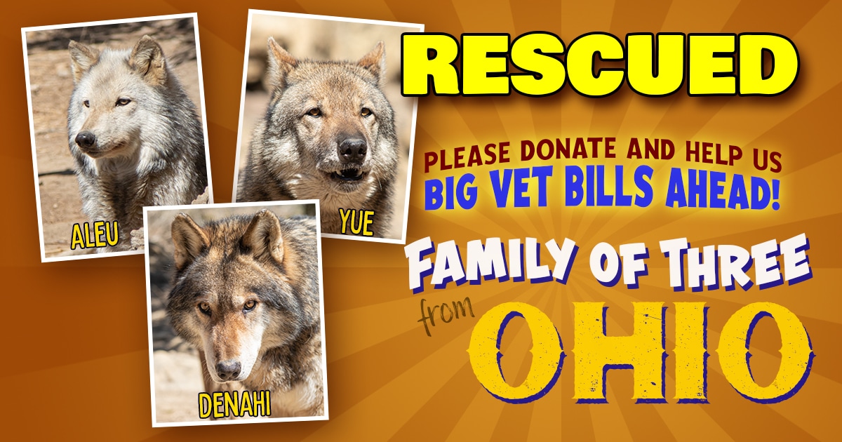 Ohio Trio Rescue Banner