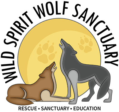 Wolf and Wolfdog Rescue Sanctuary Home | Wild Spirit Wolf Sanctuary